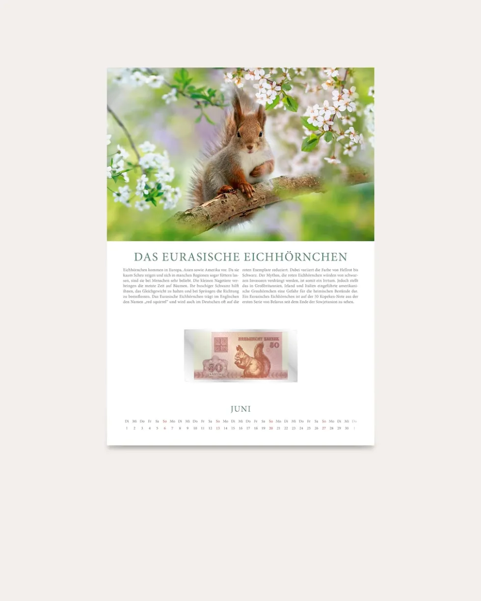 Banknotenkalender Tiere 2027