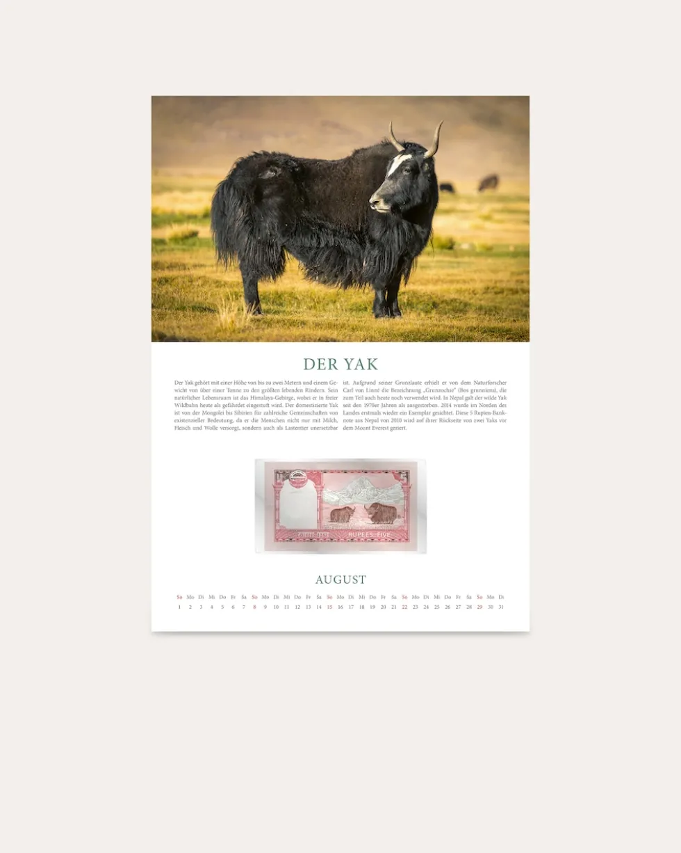 Banknotenkalender Tiere 2027