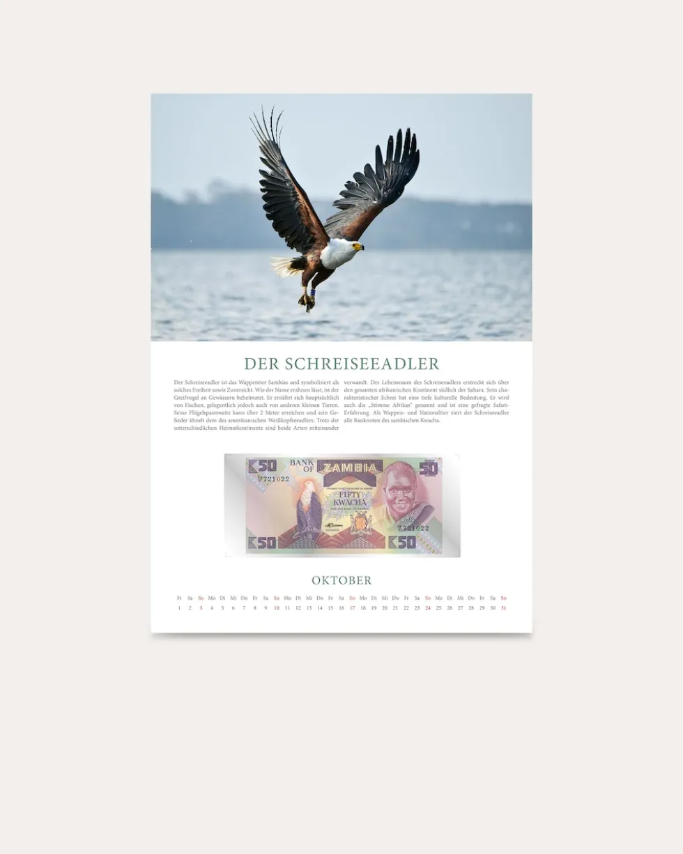 Banknotenkalender Tiere 2027