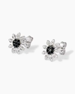 Brillant-Ohrstecker 0,50 ct
