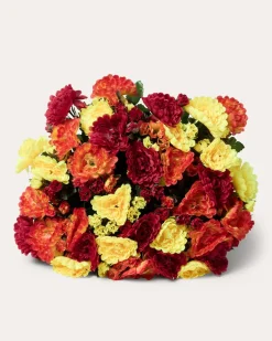 Chrysanthemenbusch