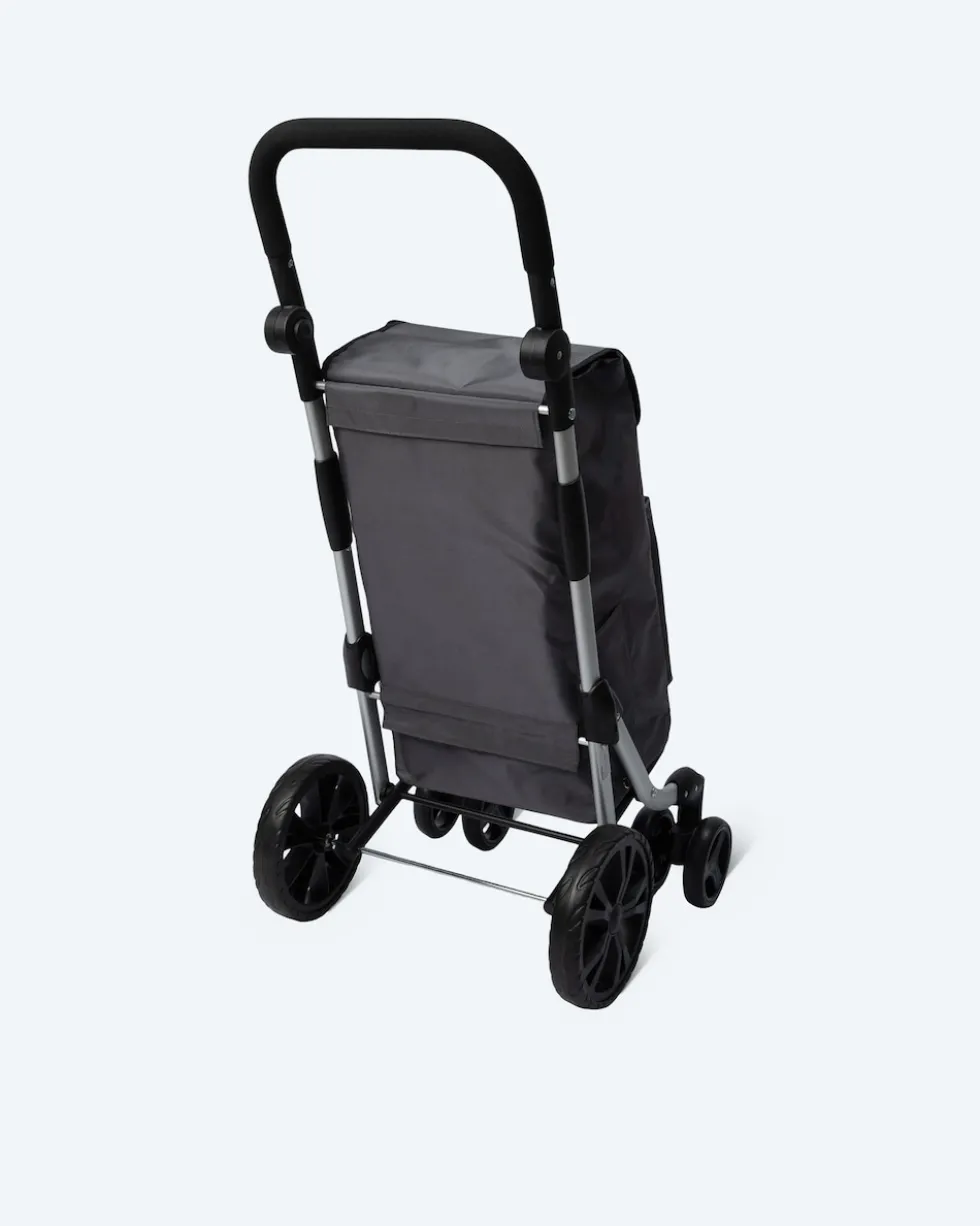 Einkaufstrolley "Push & Go"