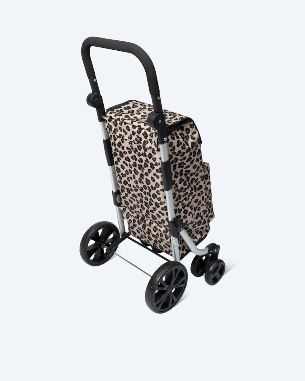 Einkaufstrolley "Push & Go"