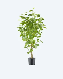 Eukalyptus-Kunstpflanze im Topf