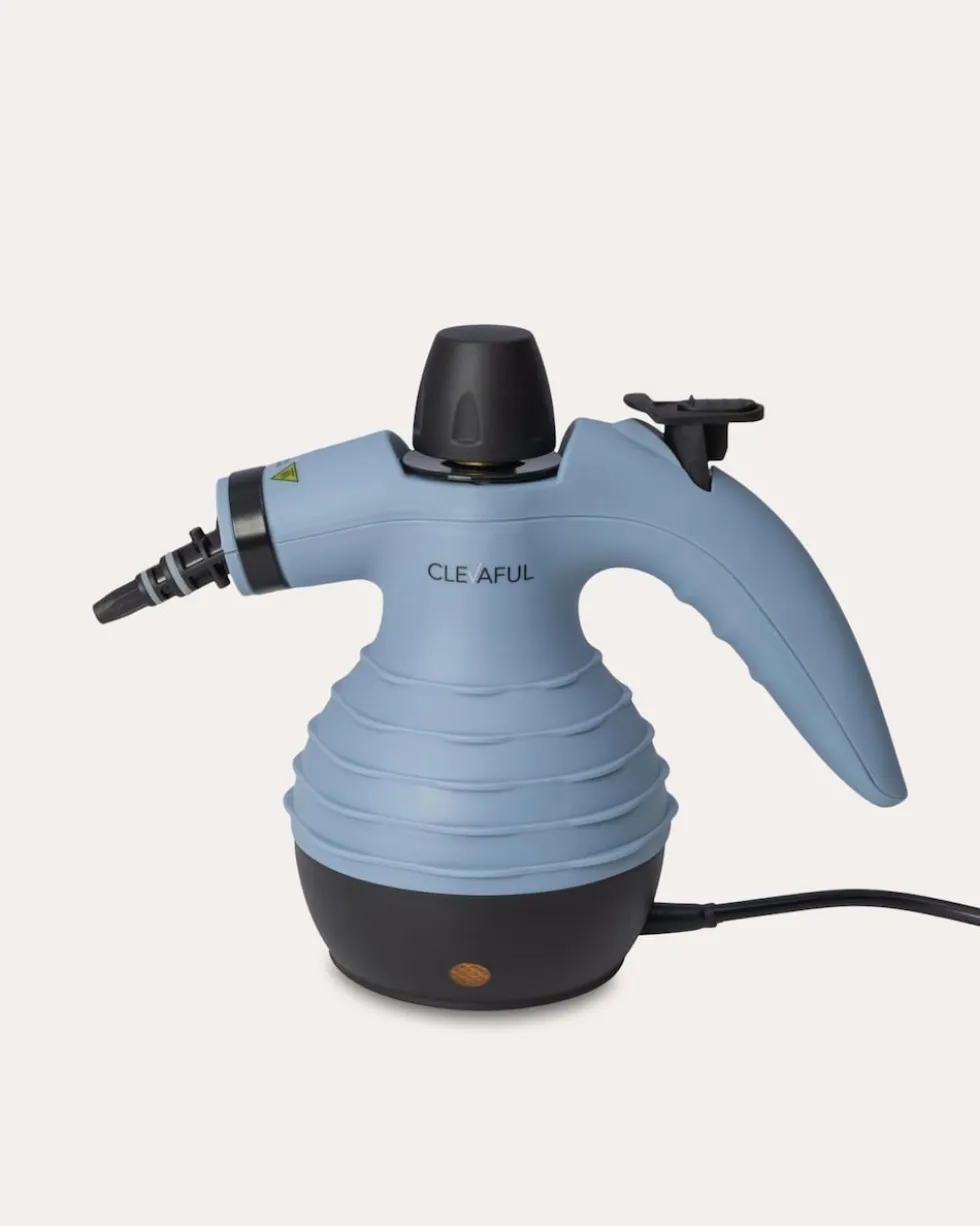 Handdampfreiniger mit Zubehör