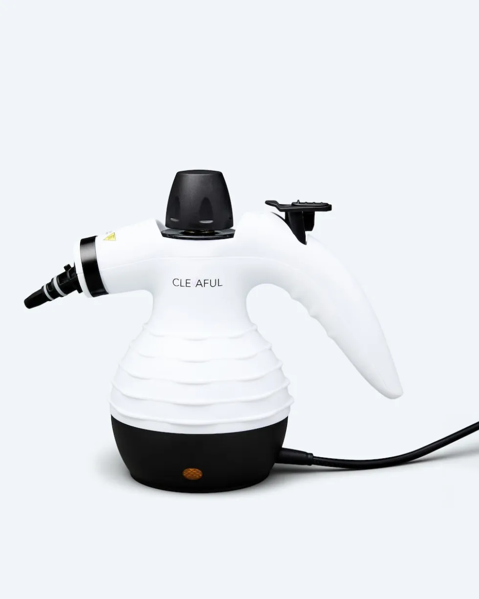 Handdampfreiniger mit Zubehör