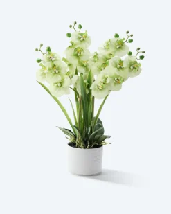Kunst-Orchidee im Keramiktopf