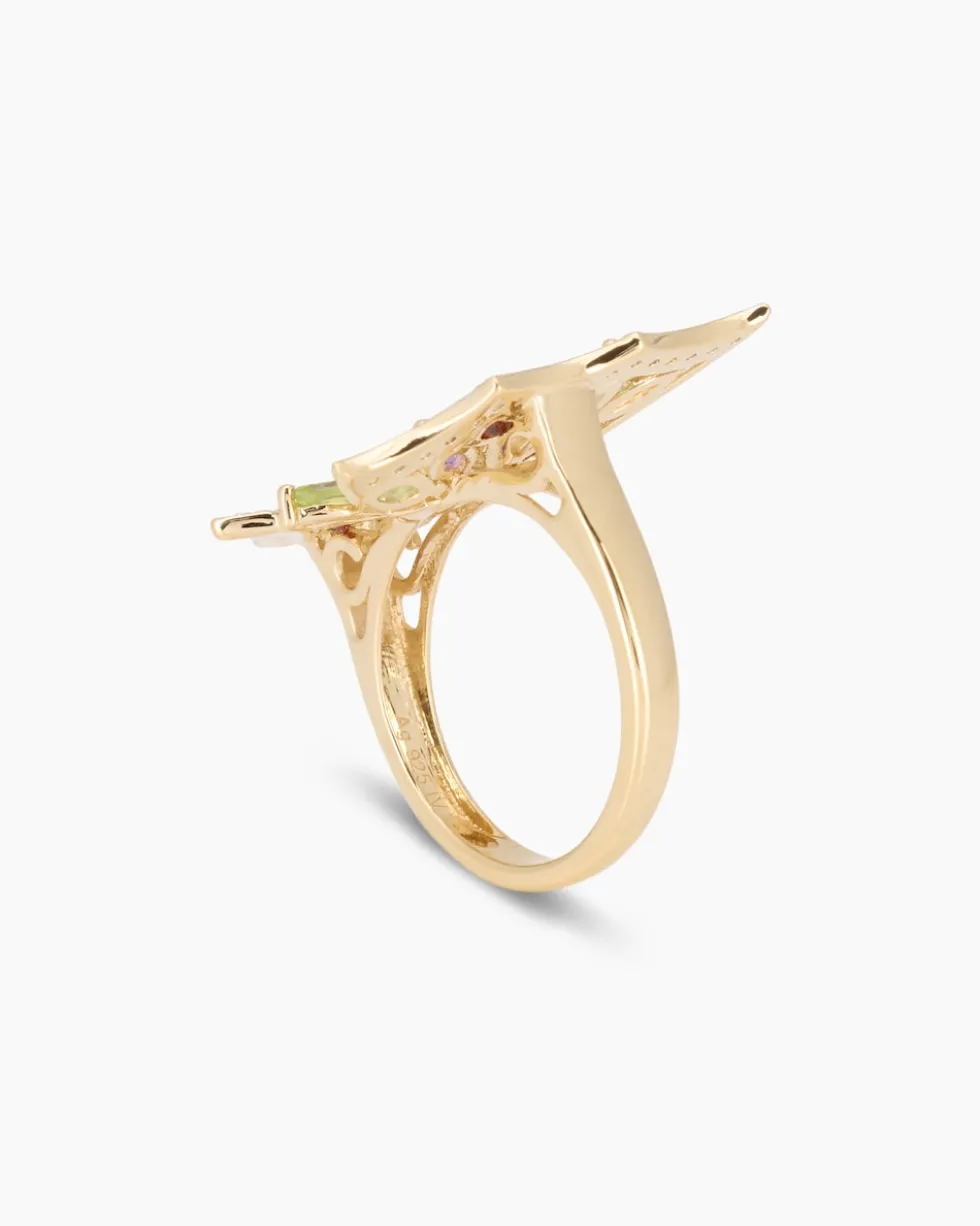 Ring Multi-Edelstein
