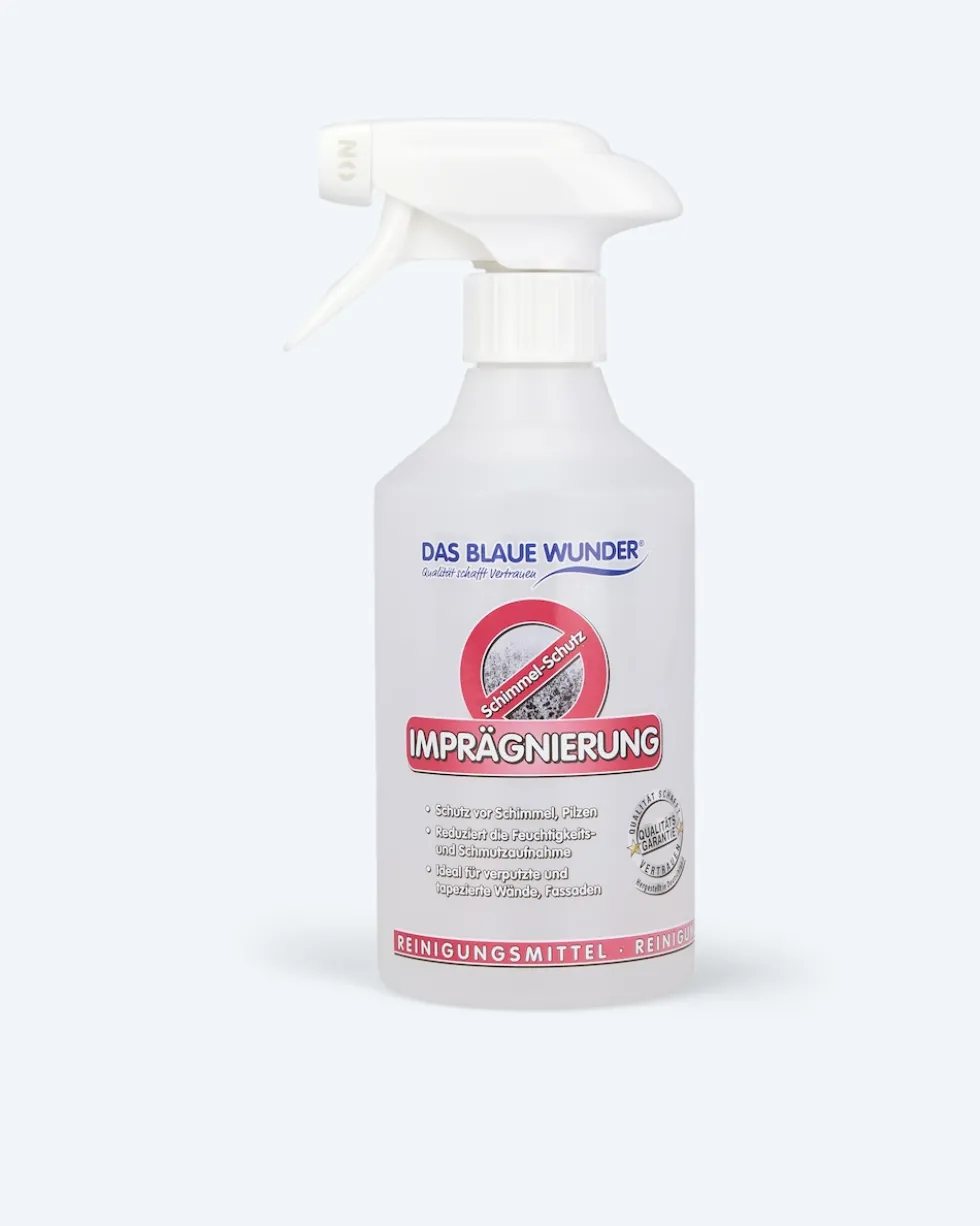 Schimmel Imprägnierung 500ml +SPK
