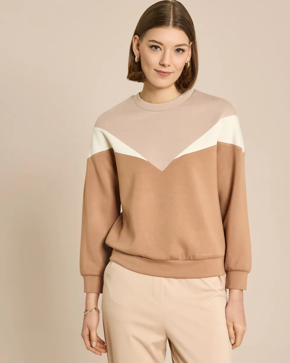 Sweater Dreifarbig