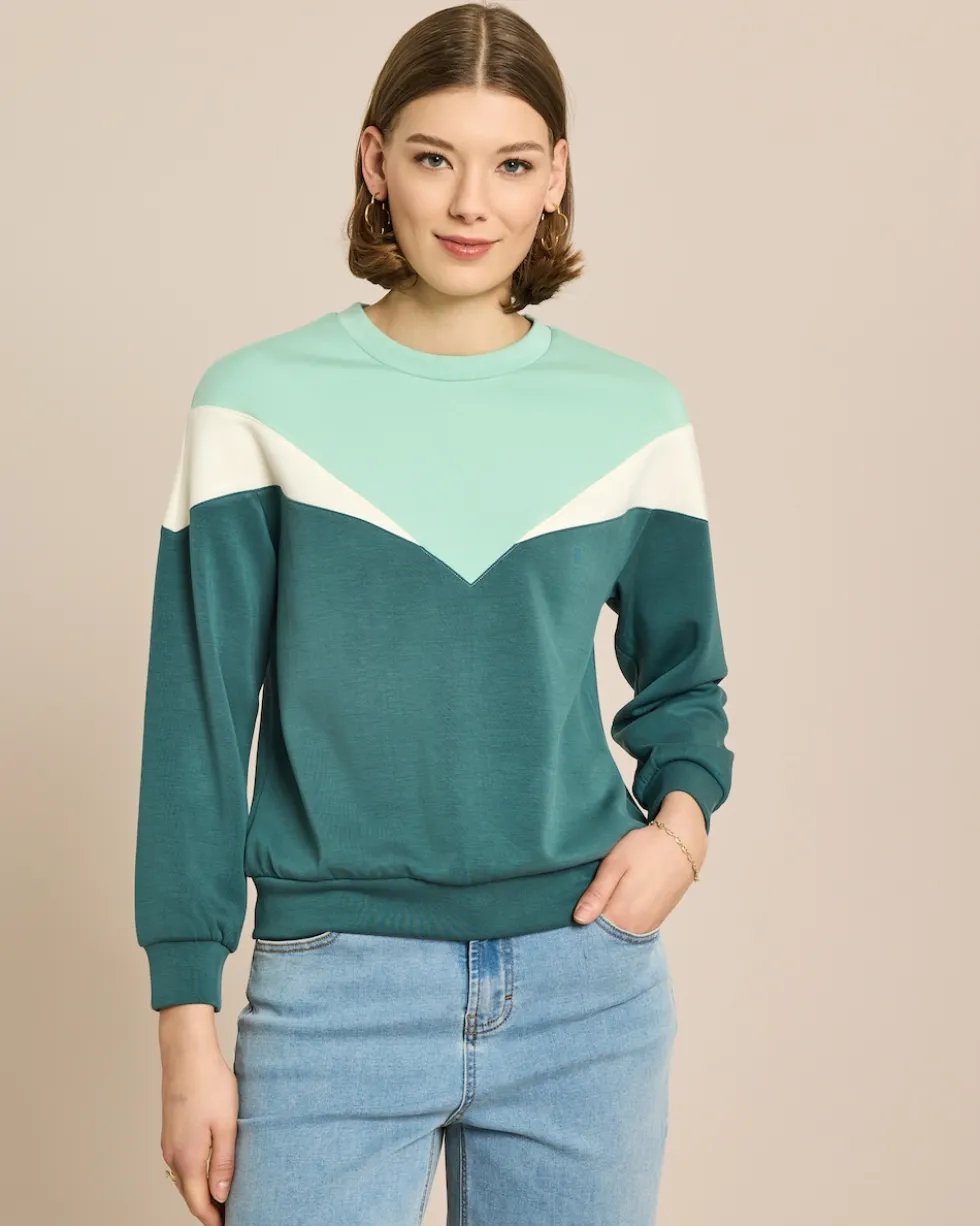 Sweater Dreifarbig