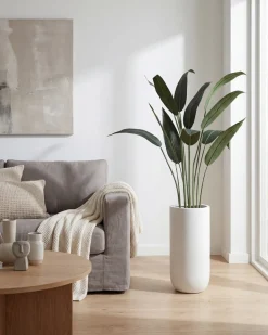 Wassercanna im Topf